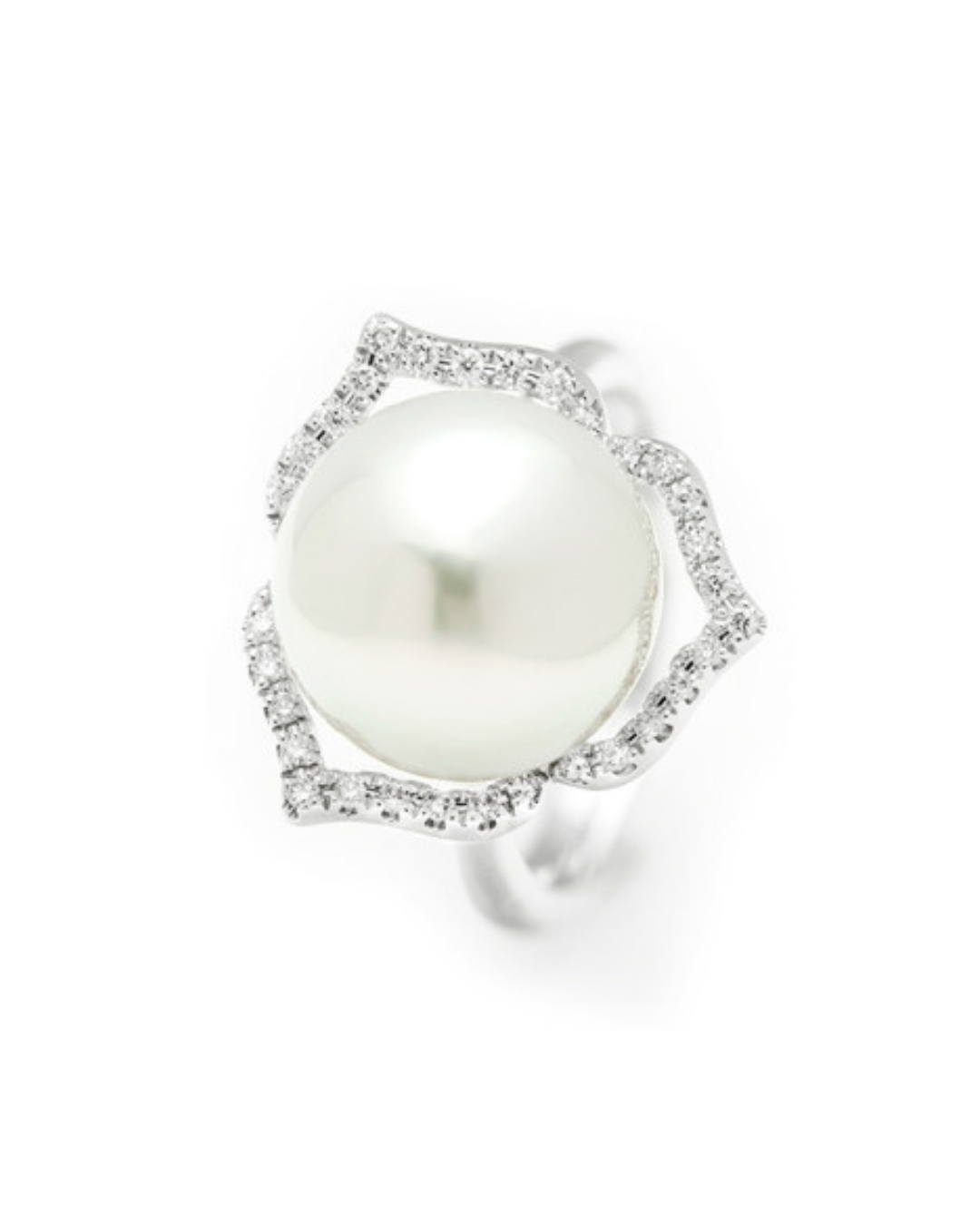 Australian South Sea Pearl Petal Halo Ring in White Gold