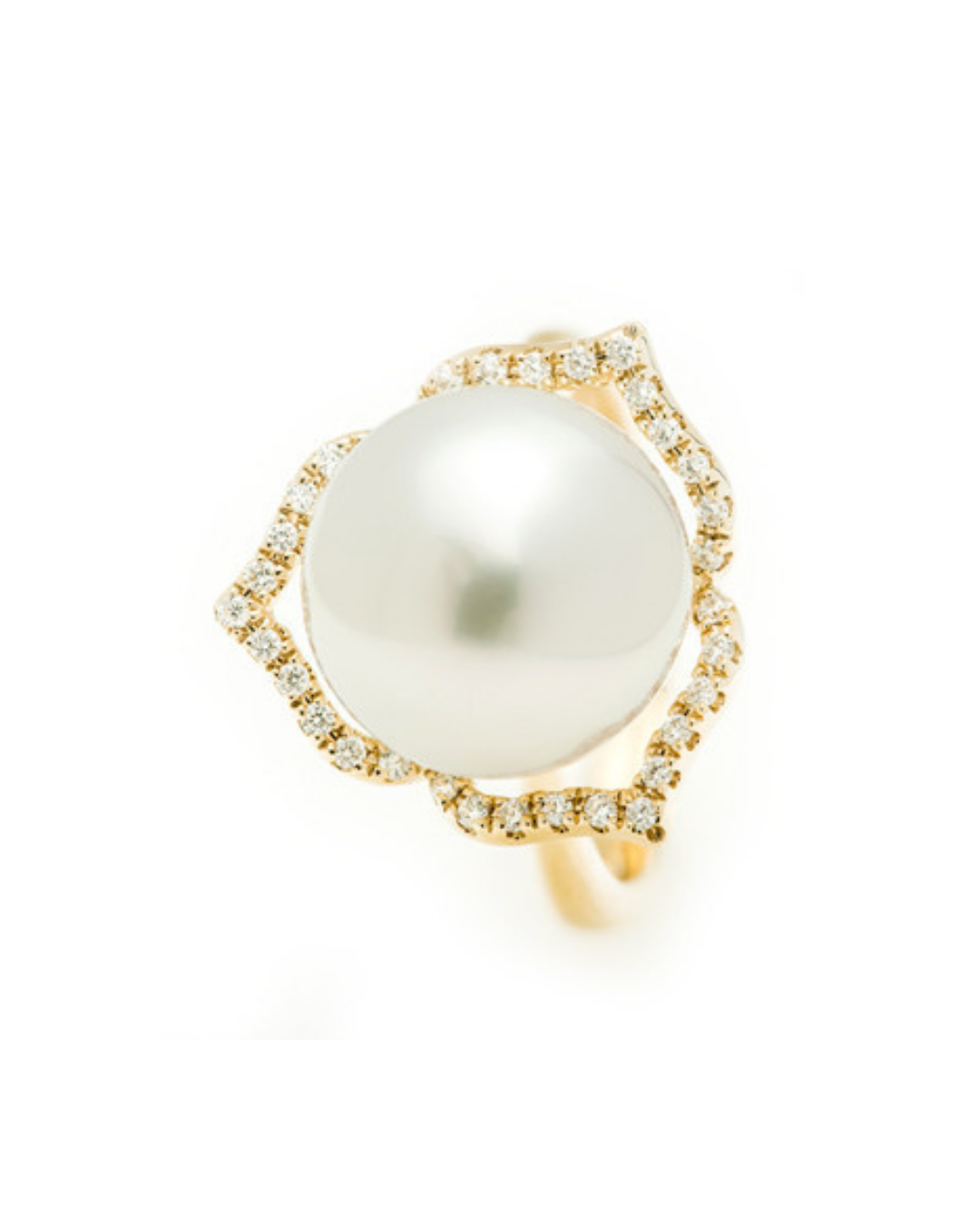 Australian South Sea Pearl Petal Halo Ring