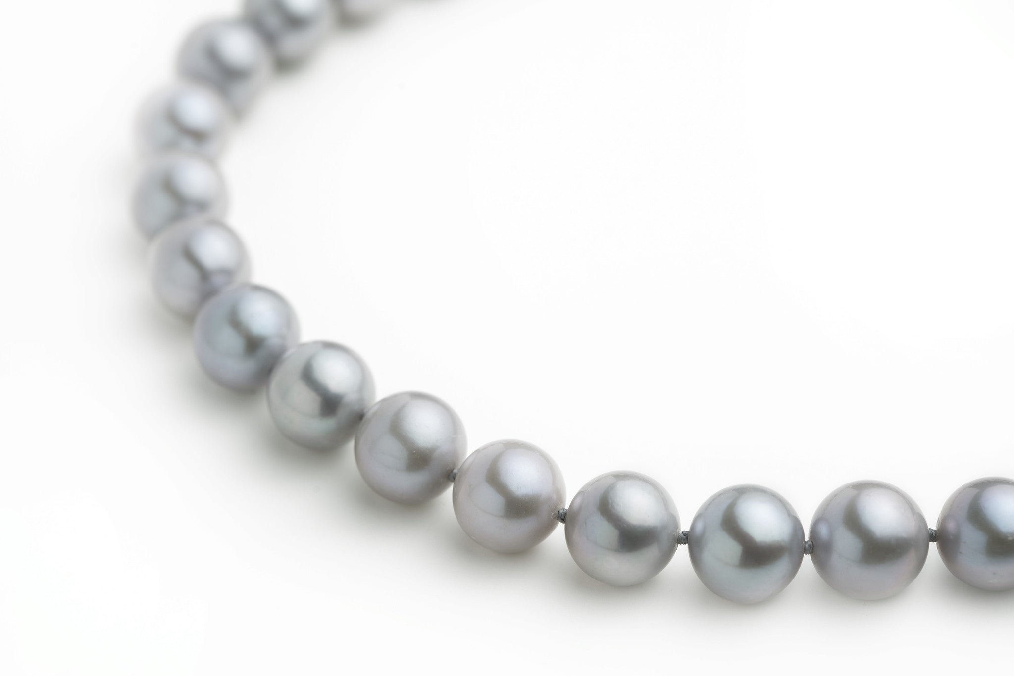 Silver Fresh Water Pearl Necklace with White Gold clasp